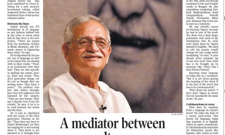 Interview – A mediator between cultures [The Hindu 2017]